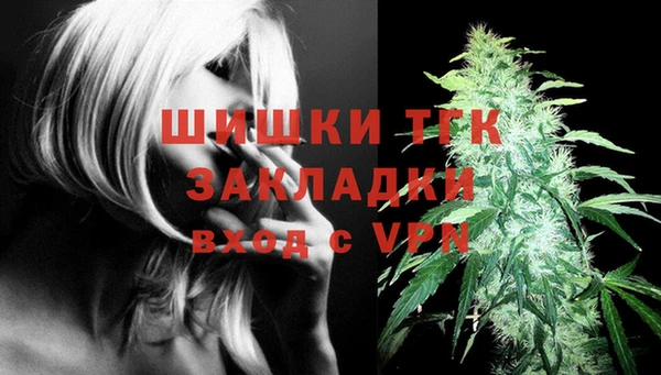 дмт Осташков
