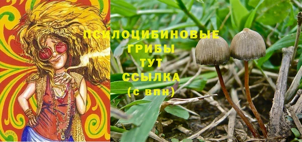 таблы Верхний Тагил