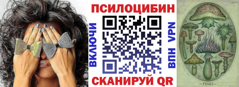 даркнет сайт гидра ONION Псилоцибиновые грибы мицелий Хотьково